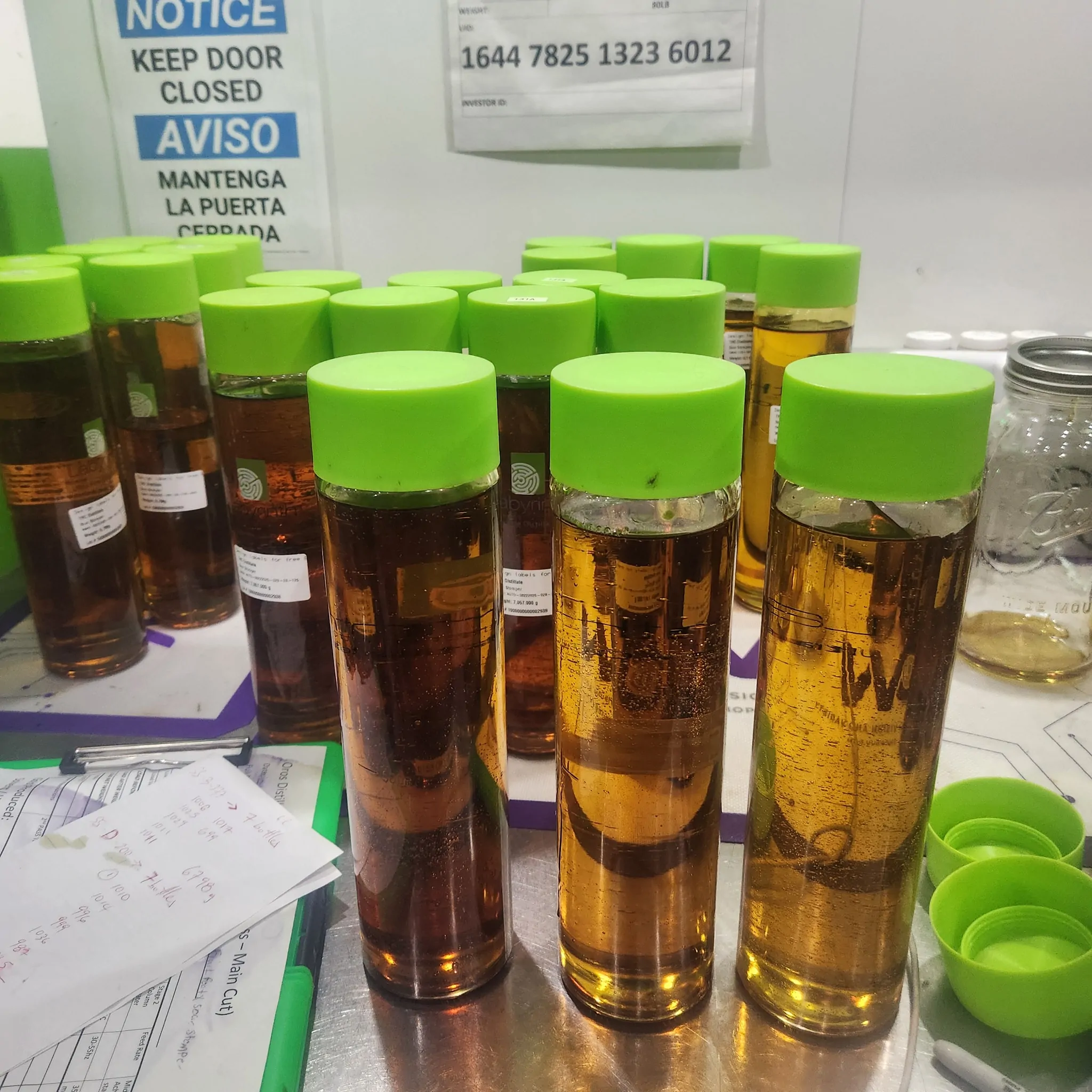 Rows of 1000ml cannabis extract bottles on shelving